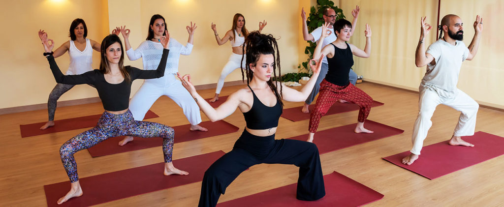 formació girona ioga yoga professional